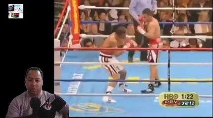 Miguel Cotto Vs Randall Bailey Highlights