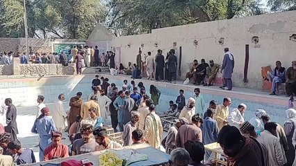 aseel murga mandi rahim yar khan 23 march update
