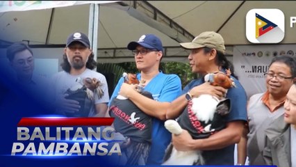 3 bagong Philippine eagle, natanggap ng Natural Forest Conservation sa Mahagnao, Burauen, Leyte