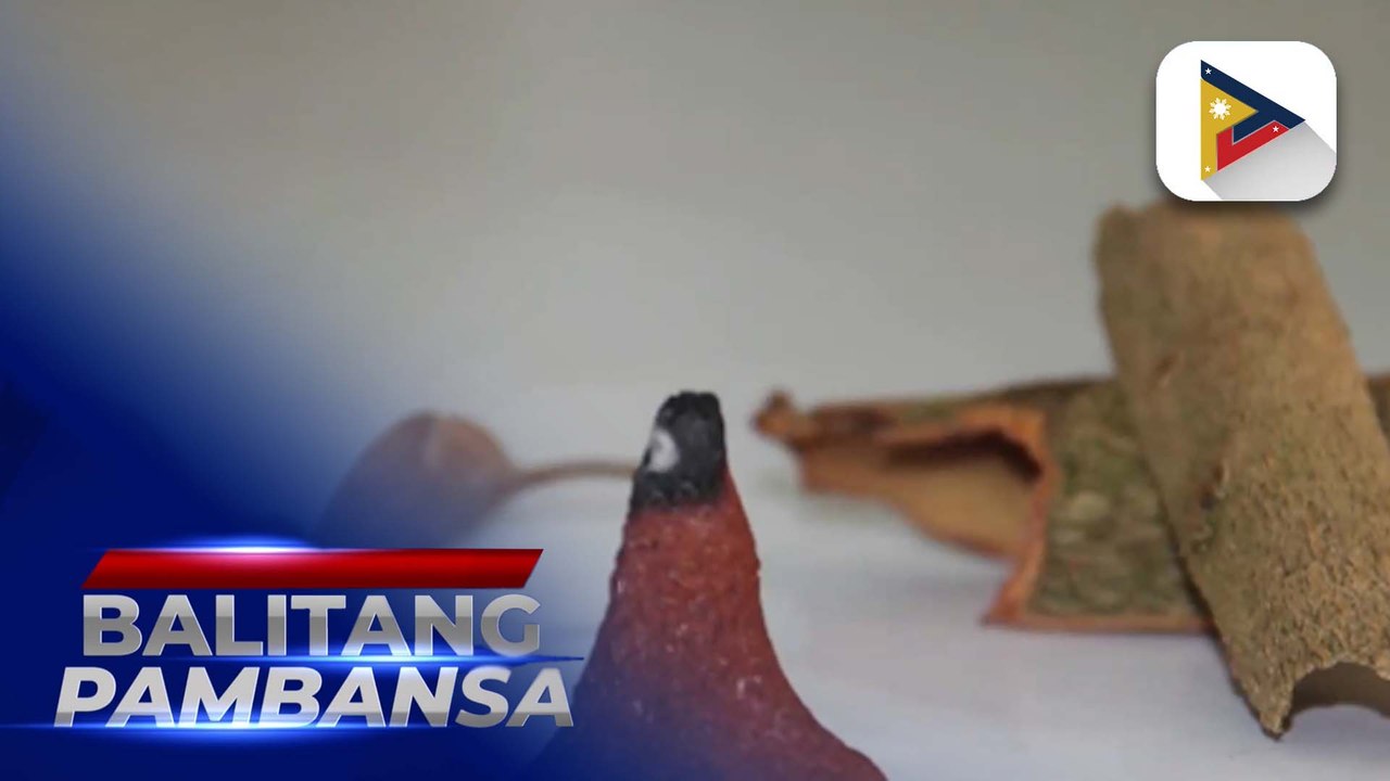 Ilang uri ng dagta ng forest tree, pinag-aaralang gamitin bilang pantaboy ng lamok