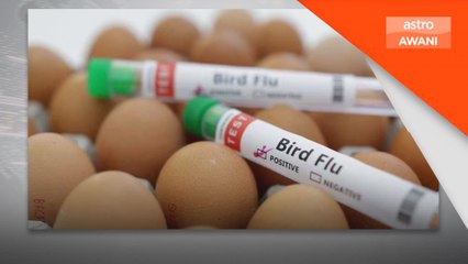 Kanak-kanak tiga tahun di Kemboja dijangkiti selesema burung