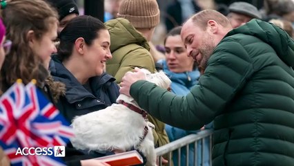 Prince William Cuddles Dogs, Rides In Tank On Estonia Trip