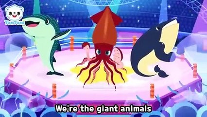 [NEW] The Giant Animals Song💪 ｜ Super huge animals all came together! ｜ Unusual Animals ｜ TOMTOMI