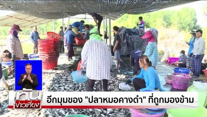 อีกมุมของ “ปลาหมอคางดำ” | เนชั่นทันเที่ยง | 24 มี.ค. 68 | PART 3
