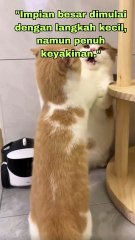 Impian besar dimulai dengan langkah kecil#short