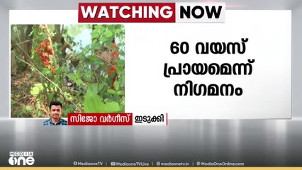 ഇടുക്കി തൊടുപുഴ മലങ്കര ജലാശയത്തിൽ അജ്ഞാത മൃതദേഹം കണ്ടെത്തി
