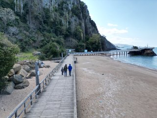 Dünya’da sadece 3 yerde var! 80 milyon yıl önce oluştu