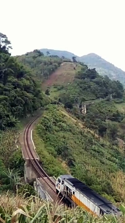 Perjalanan kereta api yang menakjubkan di tengah keindahan alam! 😍  Bayangkan pemandangan yang luar biasa ini
