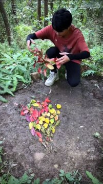 Outdoor 🎨 Art #paintings #art #nature #artists