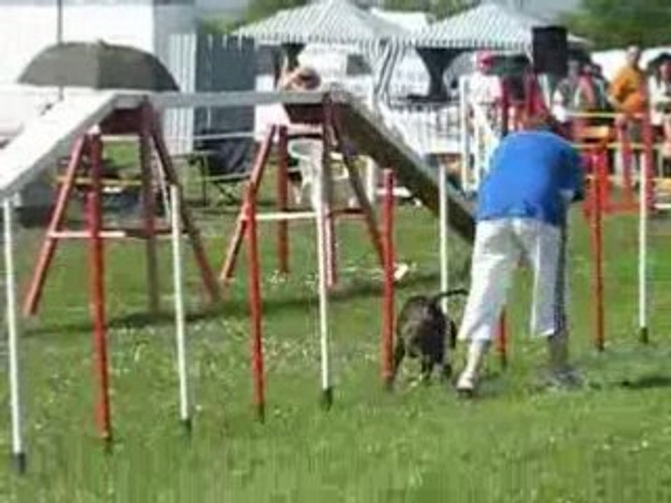 Alpha, 1er degré 04.05.2008