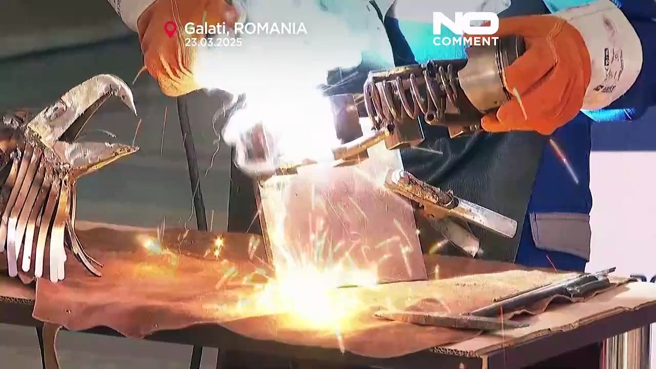 Rumänischer Schweißer macht aus Schrott atemberaubende Kunst