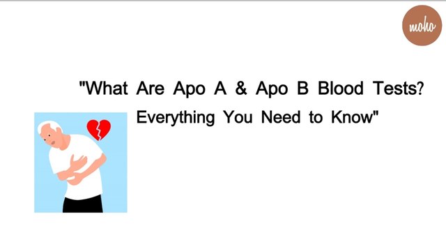 Apo A & Apo B Blood Test Explained Normal Ranges, Heart Health Risks, and Tips MOHO - Moho Health (1080p, h264) (2)