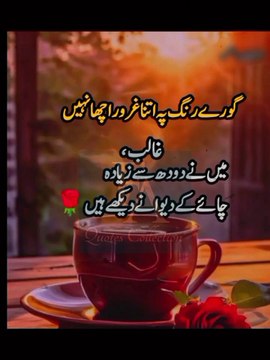 Golden Words In Urdu | Quotes About Allah In Urdu | Islamic Quotes By FA Quotes Collection