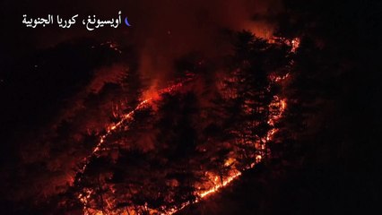 حرائق غابات في كوريا الجنوبية
