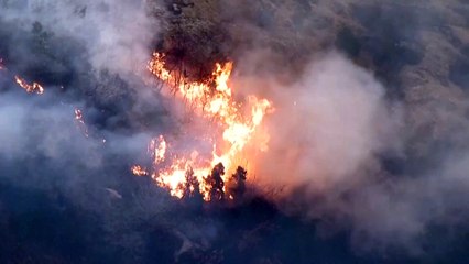 На западе Японии разгорелись лесные пожары