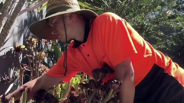 Brit moves to Australia on a work visa to complete jobs that no one wants to do