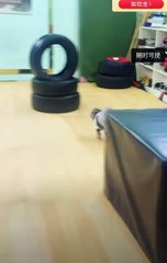 Impressive Talent of a Young Performer 🎤