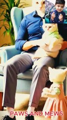 cats father #cats lover#cat daughter#shorts#