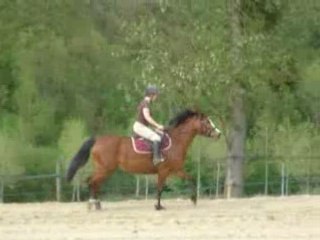 C 05.08 prana et capu trot