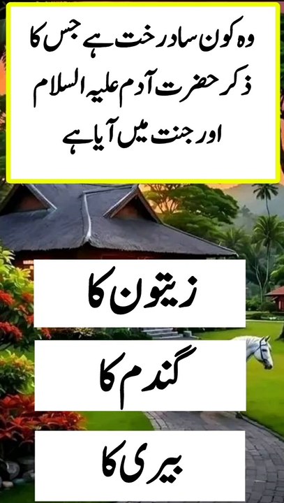 Islamic quick answer and jawab