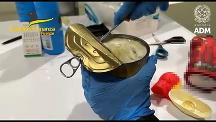GDF FIRENZE: AEROPORTO FIRENZE PERETOLA - ARRESTATO UN PASSEGGERO  (24.03.25)