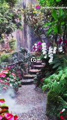 #GardenAndLibrary #CiceroWisdom #PhilosophyQuotes #MindAndSoul #NatureAndKnowledge #SimpleLiving #WisdomOfTheAges #BookLovers #NatureLovers #InnerPeace #SelfReflection #GrowAndLearn #BalanceInLife #LifeWisdom #Inspiration