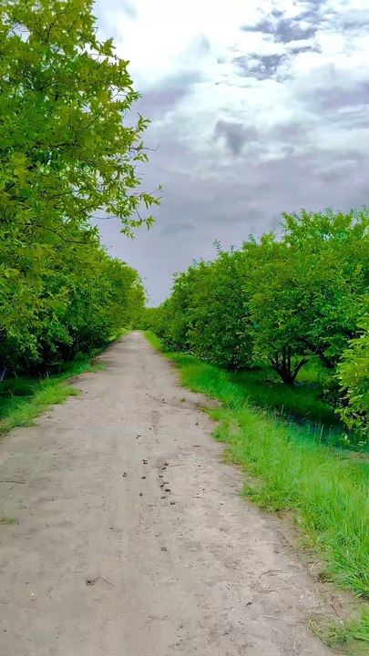Capturing the Soul of Village  Larkana ❤ #maxrecords #vlog #travel