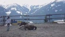 2 mai verbier_0001