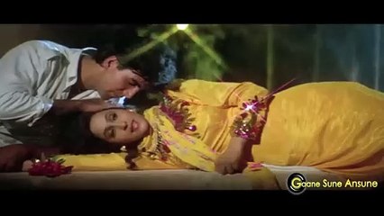 Pawan Basanti Behne/1993 Kayda Kanoon / Akshay Kumar ,Sadhana Sargam, Suresh Wadkar
