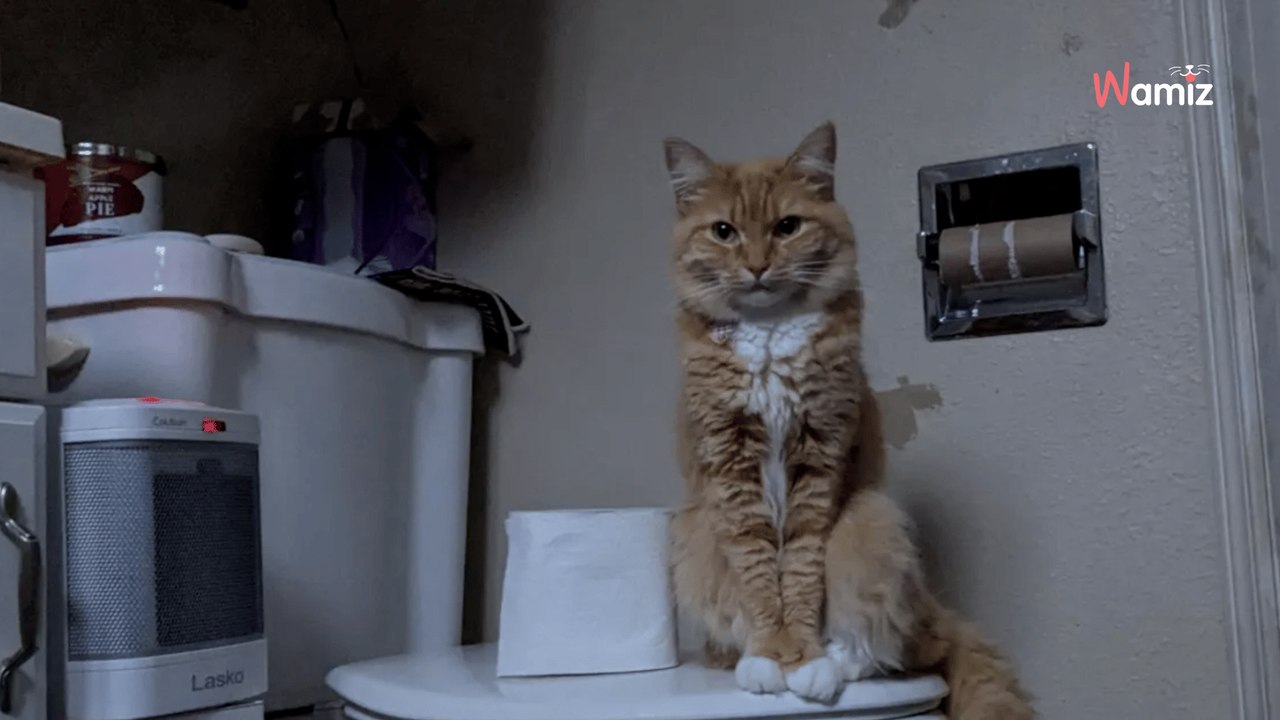 Il prend un bain après un séjour à l’hôpital : il est loin de s’imaginer qu’un membre de sa famille l’observe