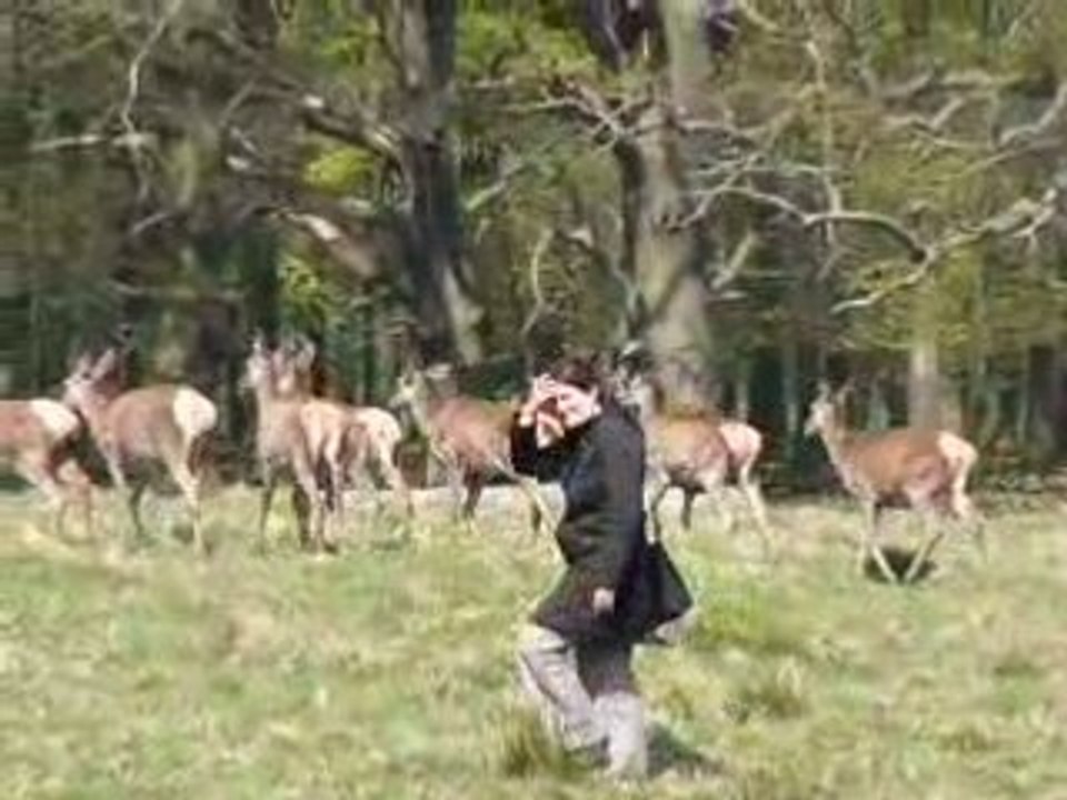 cerfs et humain