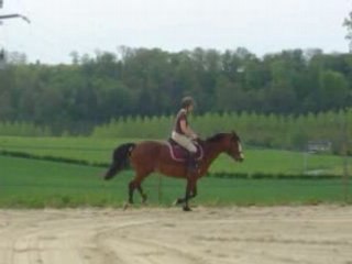 C 05.08 prana et capu galop