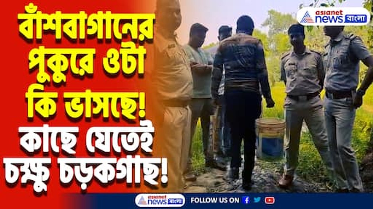 ক্যানিং-এর শান্ত গ্রামে তীব্র চাঞ্চল্য! বাঁশবাগানের পুকুরে পেটি কে পেটি… আতঙ্ক গোটা এলাকায়