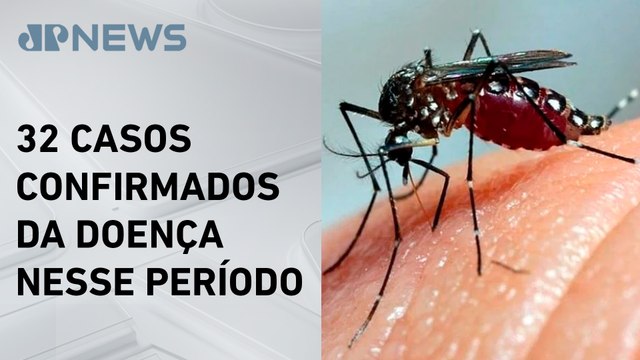 São Paulo registra 20 mortes por febre amarela em três meses