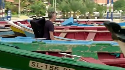 "Welcome to Wildlife Odyssey: Explore the Wild