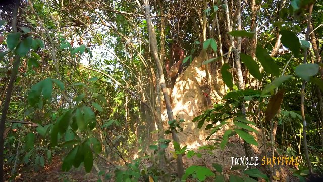 Build The Most Secret Deep Hole Underground Swimming Pool Men Survival Living Off The Grid_720pFH