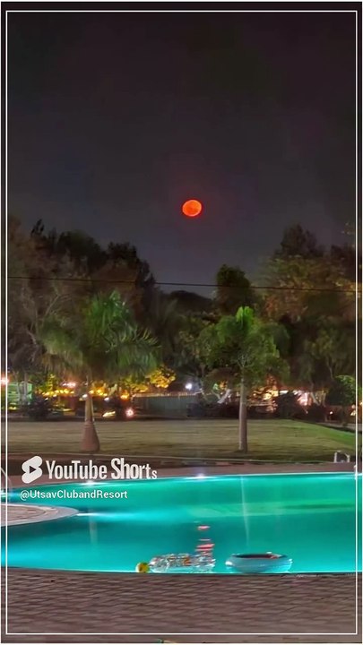 🌊✨ Poolside Bliss at Utsav Club & Resort! 🌿🏖️ _ Best Resort in Bangalore (2)
