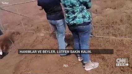 Güney Afrika'da gösteri uçağı böyle düştü!