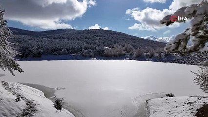 Çamlı Milli Parkı'nda eşsiz kar manzarası!