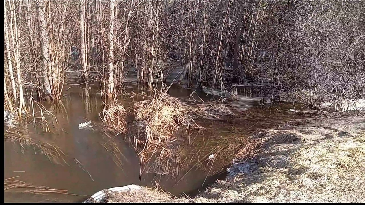 Our Creek