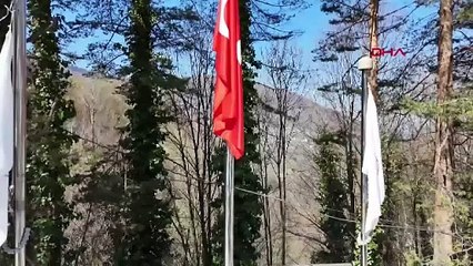 Doğa uyanıyor: Samandere Şelalesi çağladı