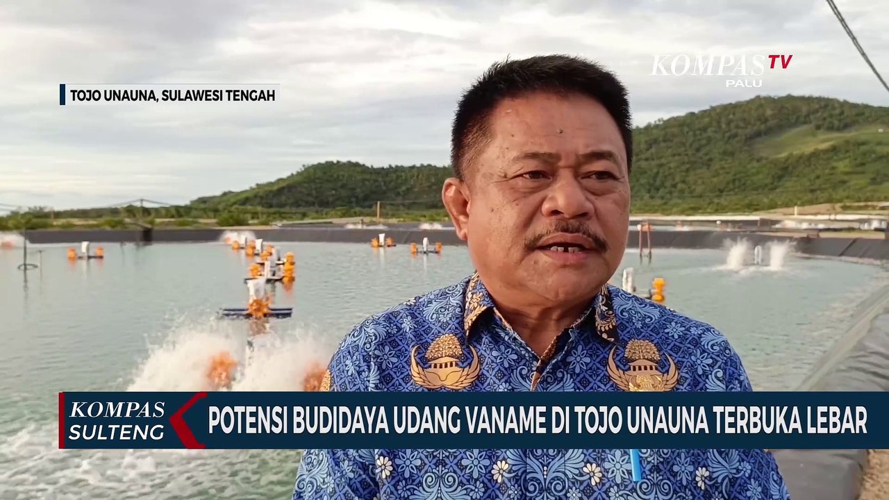 Potensi Budidaya Udang Vaname di Tojo Unauna