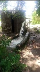 Innovative Solar System for Watering Crops: Boost Your Wheat, Vegetables & Tobacco 🌱