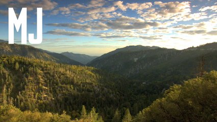 5 National Forests for the Perfect Camping Trip