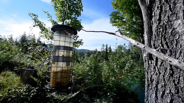 Weekend Expeditions: Connections Across Maine 2