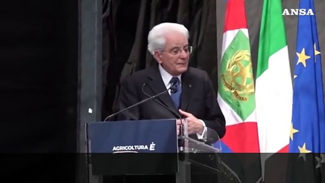 Dazi, Mattarella: Penalizzano prodotti di qualita', per Italia e' inaccettabile