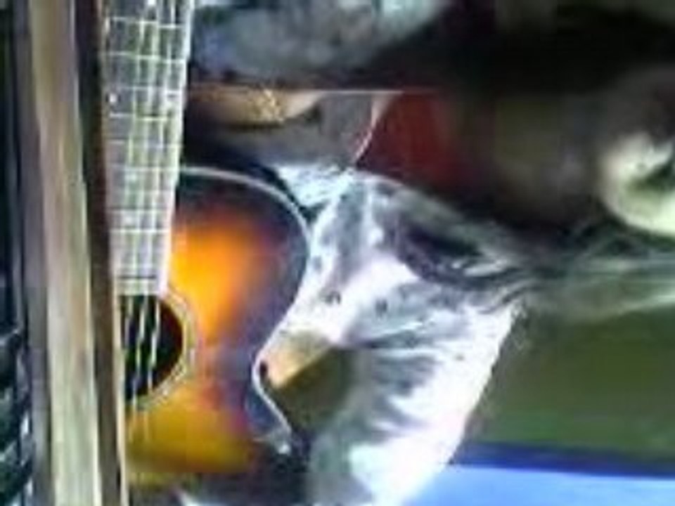 Vidéo0004