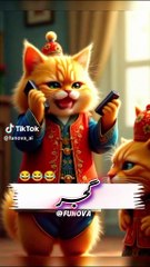 Funny videos بلی کا بولنے کا انداز