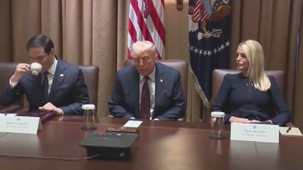 Trump opens Cabinet Meeting with Bold Claim: U.S. Could See $4 Trillion in Companies Returning