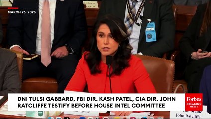 Tulsi Gabbard: Signal Chat Was ‘Mistake’ But No Classified Information Was Shared